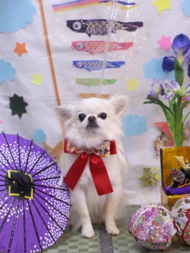 20240509りゅうくん